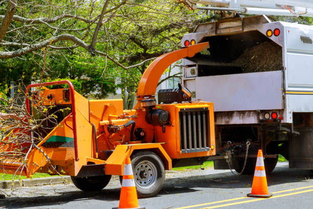 Seasonal Cleanup (Spring/Fall) in Berlin, NJ